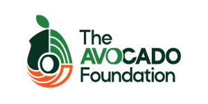 avocado foundation the avocado foundation